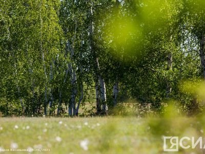 Три проекта студентов и сотрудников СВФУ поддержала Росмолодежь