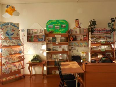 Боровинская сельская библиотека