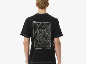 Мужская футболка Lacoste классического кроя из органического хлопка