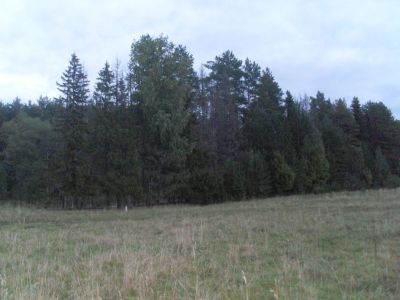 Священная роща