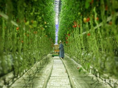 В агрокомплексе «Саюри» прокомментировали ситуацию с ценообразованием