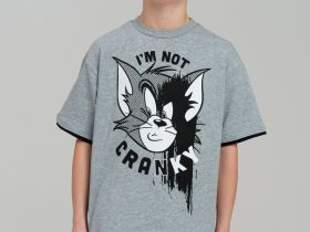 Фуфайка трикотажная для мальчиков (футболка)