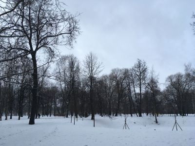 Строгановский сад