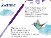 Набор карандашей акварельных ACMELIAE 24 цв.+кисточка