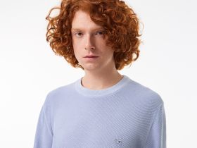 Мужской свитер Lacoste с коротким рукавом