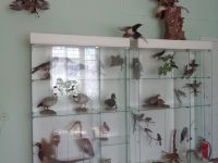 Миллеровский краеведческий музей