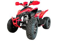 Квадроцикл YACOTA Typhoon 250LD