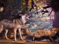 Клинский краеведческий музей