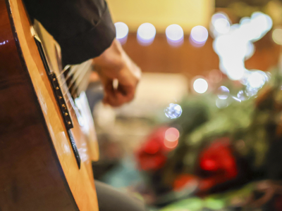 Билеты на Волшебные струны (Дом-музей Станиславского) / Концерт | Афиша | ИнфоТаймс