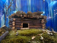 Историко-краеведческий музей с мемориалом С. М. Кирова и выставочным залом