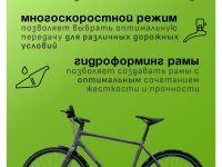 Дорожный велосипед Atom Symbiotic Speed, год 2024, цвет Серый, ростовка 21.5