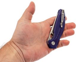 Складной нож Bestechman Angry Owl, сталь D2, рукоять G10, фиолетовый