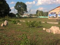 Парк д. Петровское