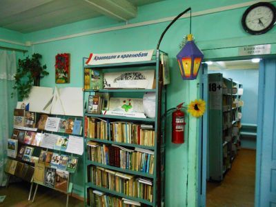 Большеельнинская сельская библиотека – филиал № 9