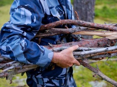 Жителям Якутии разрешат собирать валежник