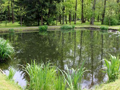 Пруды квадратные (два)