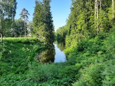 Пруд Краснодолинный с плотиной
