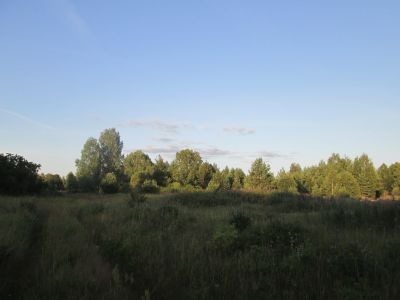 Памятное место, где гитлеровцы расстреляли 120 советских граждан