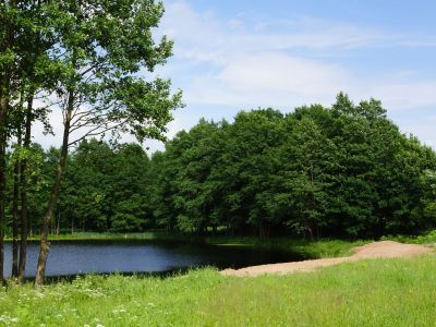 Парк в бывшем имении Философовых