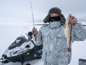 Снегоход РУССКАЯ МЕХАНИКА Tayga Patrul 800 SWT