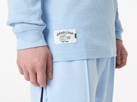 Мужская футболка Lacoste из хлопка