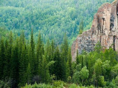 Народный депутат Якутии дал оценку мерам по охране лесов от пожаров