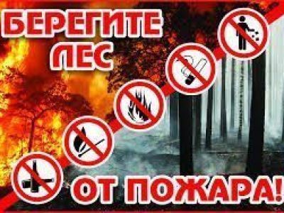 Участвуйте в республиканском конкурсе социальной рекламы  "Защитим лес от пожара!"
