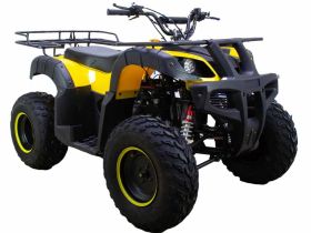 Квадроцикл ATV Classic 200