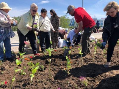 В День памяти и скорби в Парке Победы Якутска высадили 3000 цветов