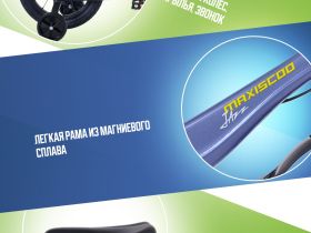 Детский велосипед Maxiscoo Jazz Стандарт Плюс 14, год 2024, цвет Синий