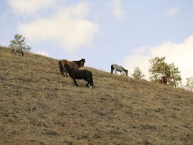 К Древним вулканам Туймаады. Двухдневный поход с ночевкой в палатке