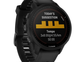 Смарт-часы Garmin Forerunner 955 Solar (Black) (010-02638-20)