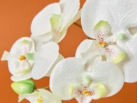 Цветок Piemonte, белый