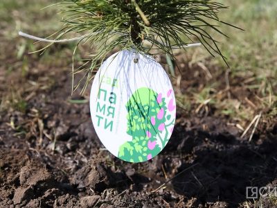 Якутия присоединилась к международной акции «Сад памяти»