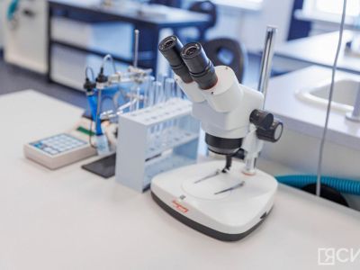 В Якутии выяснят возраст найденного в Сунтарском районе степного бизона