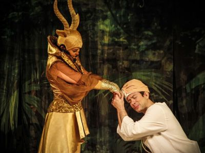 Билеты на Золотая антилопа (ДК «Выборгский») / Театр | Афиша | ИнфоТаймс