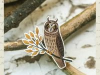 Деревянная брошка Дворникова А. "Сова на ветке"