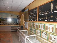 Музей природы р. п. Танхой