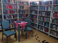 Новобуянская сельская библиотека