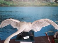 Яйвинский краеведческий музей