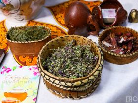 «Вкус хомуса»: в Якутске прошел необычный гастро-культурный вечер