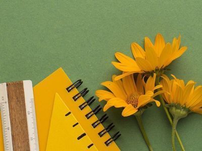 Сколько стоит «школьный набор» в 2023 году?