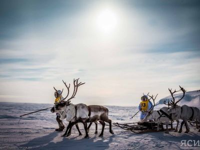 Соревнования по арктическим компетенциям пройдут на чемпионате по традиционному оленеводству