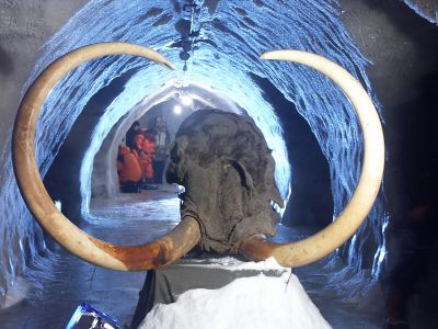 В Якутии будут искать бивни мамонта с помощью искусственного интеллекта