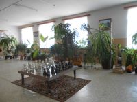 Истьинский сельский дом культуры