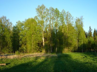 Приусадебный парк