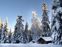 Этнографический музей под открытым небом «Торум Маа»