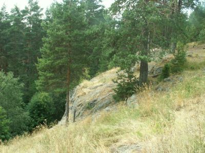 Памятное место, где в 1906-1907 гг. проходили нелегальные собрания Петрозаводской организации РСДРП