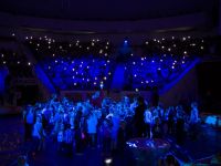 Нижнетагильский государственный цирк