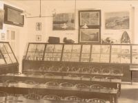 Палеонтолого-стратиграфический музей Санкт-Петербургского государственного университета